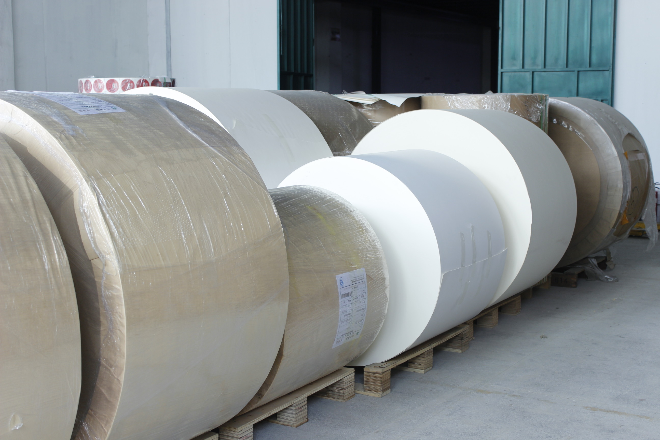 中国 Guangzhou Victory Paper Products Co., Ltd. 会社概要